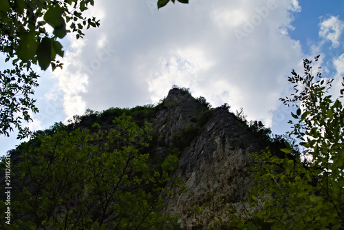 Vista lungo il sentiero 208 fosso dell'eremo a Piobbico