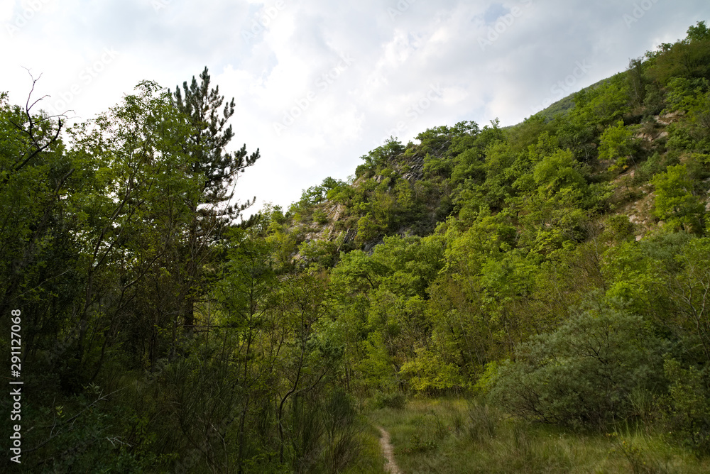 Vista lungo il sentiero 208 fosso dell'eremo a Piobbico