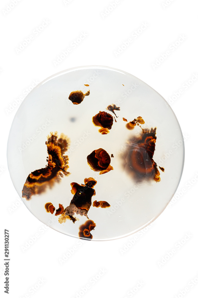 Fototapeta premium macro mineral stone Agata muschiata on a white background close-up