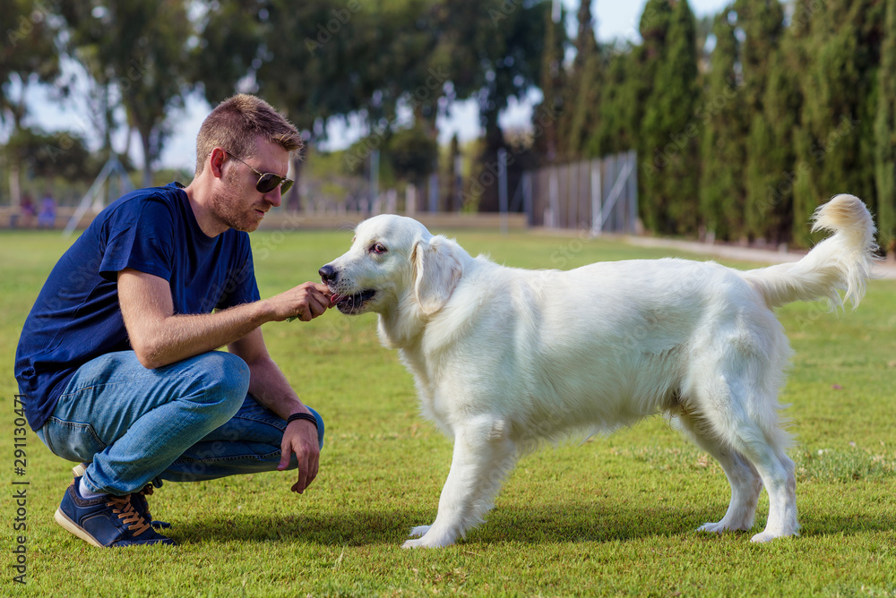 Man with his dog playing outdoor in the park. Young owner hugs his pet. Man with his dog playing outdoor in the park. Young owner hugs his pet.