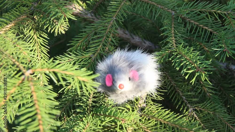 New Year 2020 symbol - rat. Christmas decoration on a spruce branch. figurines symbol of the year - rat. Holiday background with a copy space. New Year 2020 symbol - rat. Christmas decoration on a spruce branch. figurines symbol of the year - rat. Holiday background with a copy space.