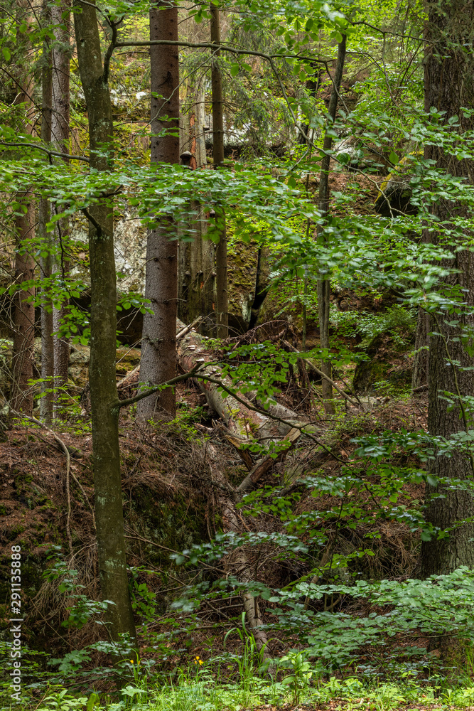 Rocks in the Stołowe Mountains National Park, Poland Rocks in the Stołowe Mountains National Park, Poland