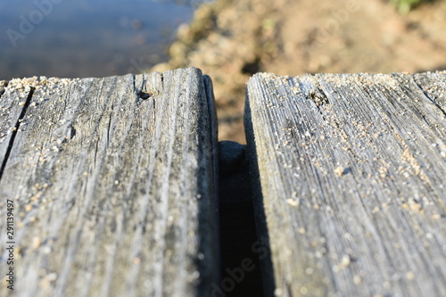 The dock on the beach