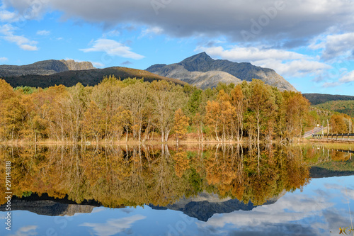Mirror reflection of tree and mountain in a lake in lofoten islands, Norway. Concept of reflection, peace, nature, calm, meditation. © 9mot