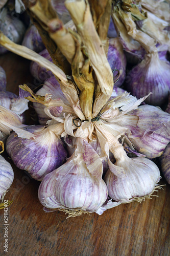 Fresh purple garlic at a French farmers market