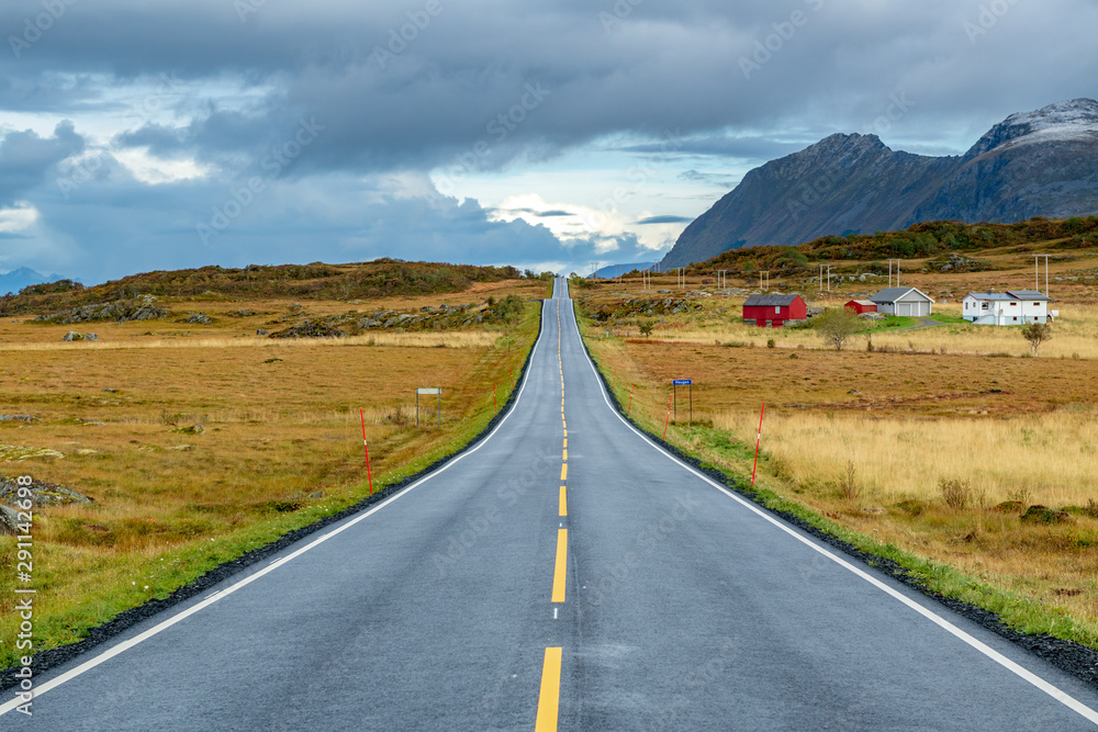 A long straight beautiful road in Lofoten, Norway. Concept of future, direction, journey, progress.