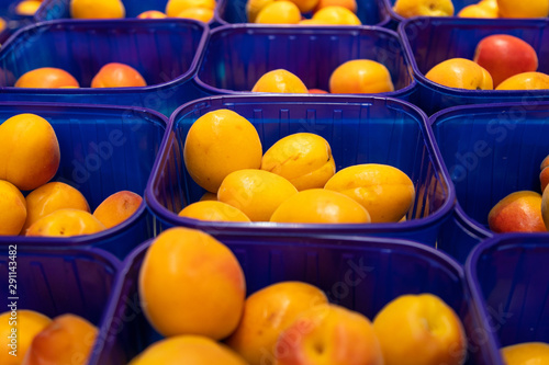 Yellow fresh delicious plum in blue plastic boxes at food market. May be used for agriculure background, front view.
