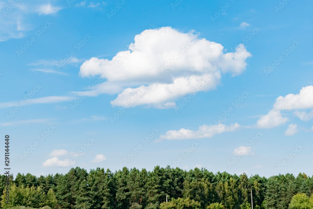 Nature view outside the city on a Sunny summer day