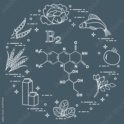 Foods rich in vitamin B2. Fish, peas and other.