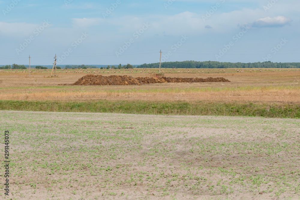 A big pile of manure lying in a field A big pile of manure lying in a field