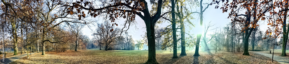 Beautiful lightning in trees in fall time Beautiful lightning in trees in fall time