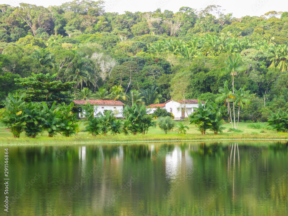 Houses by a lake surrounded by Atlantic Forest in the countryside of Itamaraca Island - Pernambuco, Brazil
