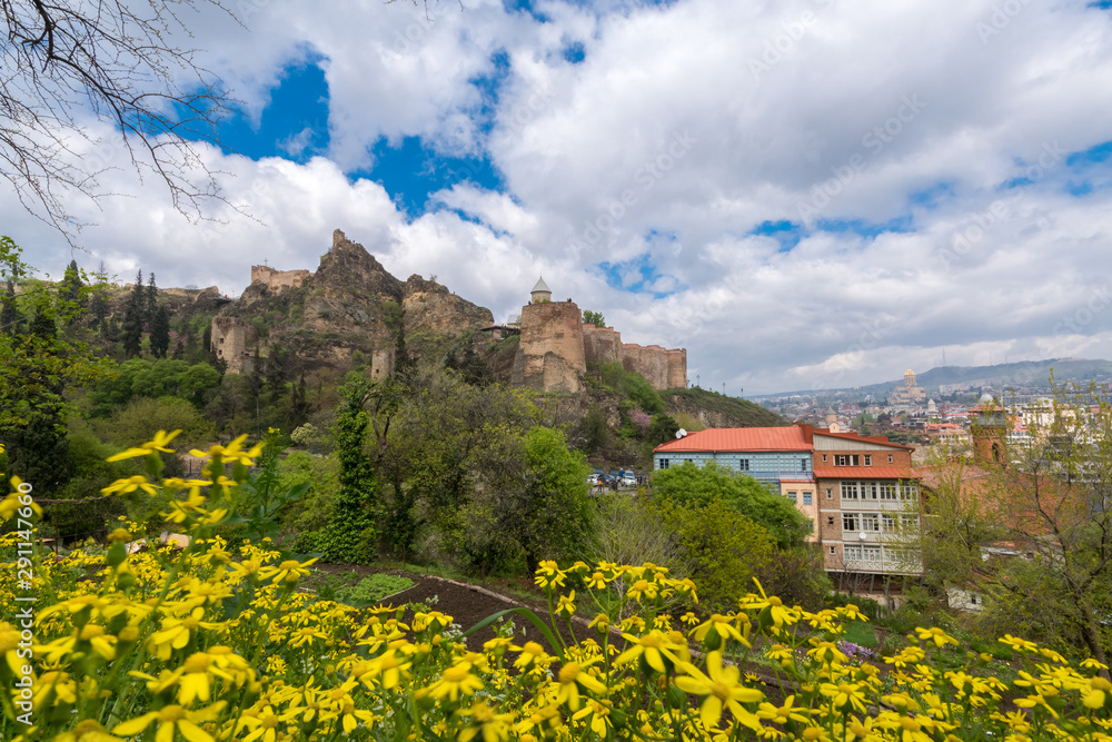 View of Narikala fortress from Tbilisi Botanical Garden