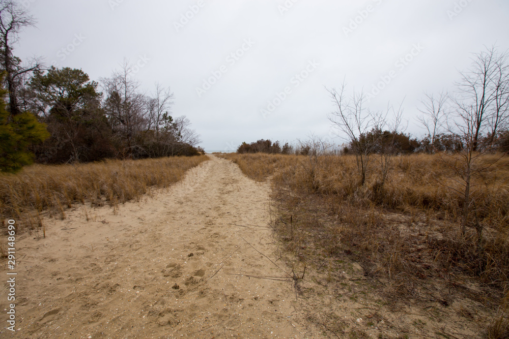 Fototapeta premium gloomy winter day along the chesapeake bay at flag ponds nature park in calvert county maryland