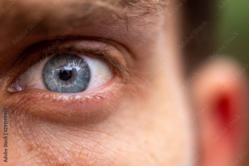Fototapeta premium Blue eye concept close up photography