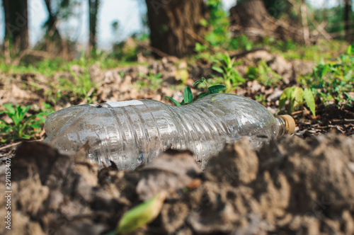 plastic bottle in the forest near the pond. Environmental pollution. Environmental issue and disaster. Go Green, Zero Waste, Save the Planet, Earth Day, No Plastic, Recycling Concept
