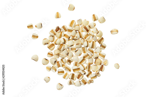 Closeup image of job's tears seeds also known as coix lacryma-jobi isolated at white background. photo