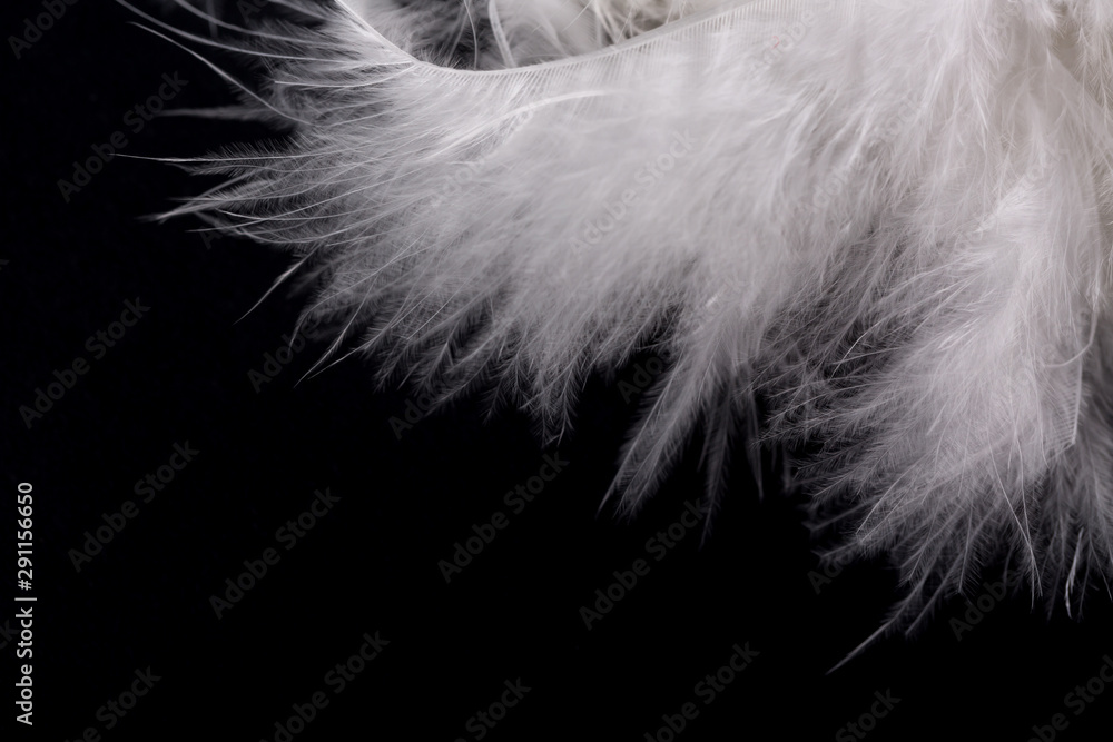 Obraz premium Downy Feathers Texture On Black Background