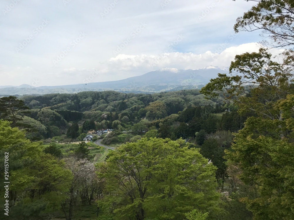 View of Forest Park with Mountains in Distance View of Forest Park with Mountains in Distance