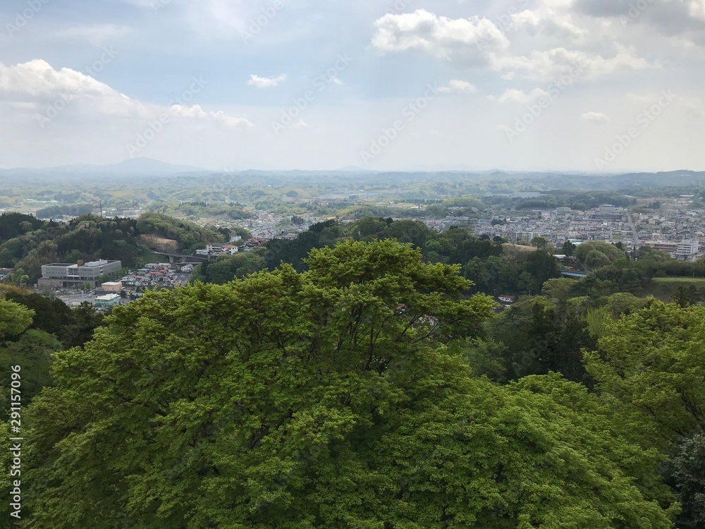 Panoramic View of the Forest Park and City in Distance in Japan