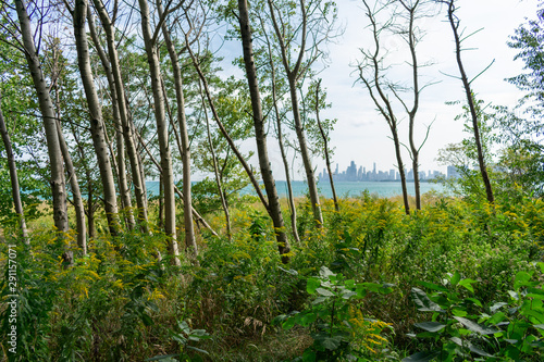 Trees and Plants at the Montrose Point Bird Sanctuary in Uptown Chicago with Lake Michigan and the Skyline in the Background