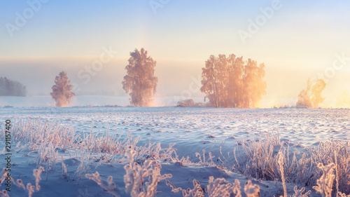 Winter landscape. Frosty winter nature in morning sunrise. Beautiful winter scene. Winter landscape © dzmitrock87