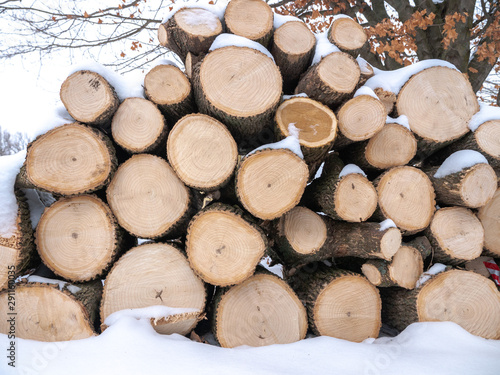 A view of a pile of round logs of stacked firewood for burning fireplace fuel piled in fresh white snow in Wisconsin in winter.