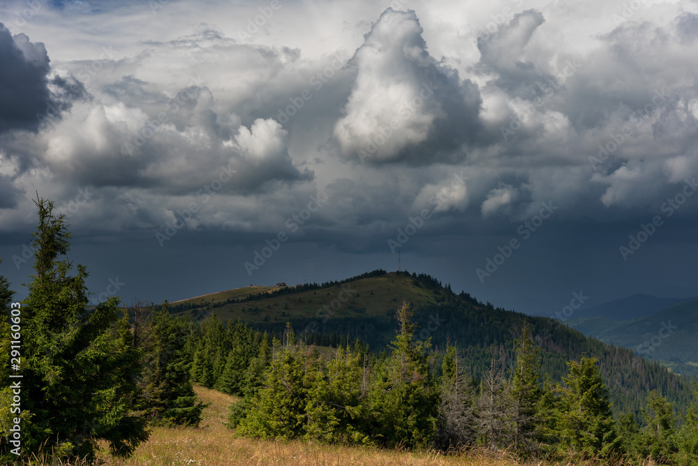 A wonderful walk along the ridge in the Ukrainian Carpathians amidst the scent of flowers, the dramatic cloudy sky before the rain with a thunderstorm.