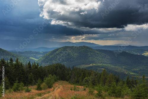 A wonderful walk along the ridge in the Ukrainian Carpathians amidst the scent of flowers, the dramatic cloudy sky before the rain with a thunderstorm. © reme80