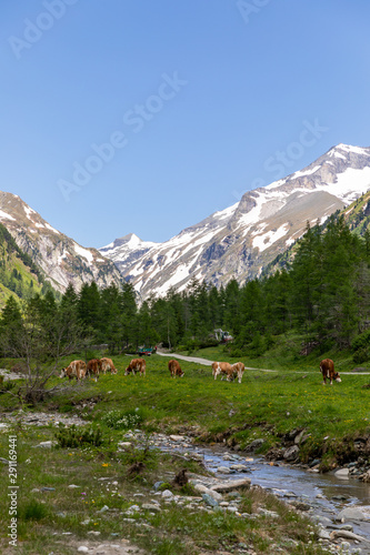 Kalser Dorfertal Valley, Austria