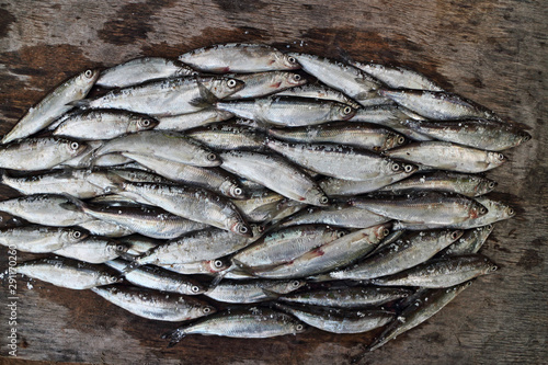 bunch of small silver fish vendace close to on the gray weathered wooden board