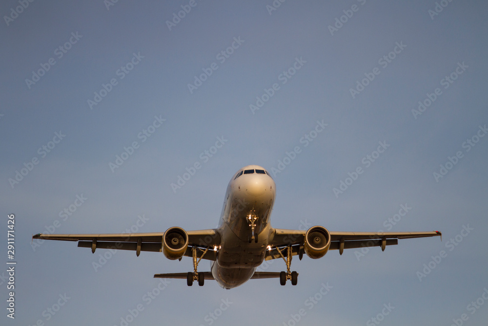 Airplane landing at the airport.