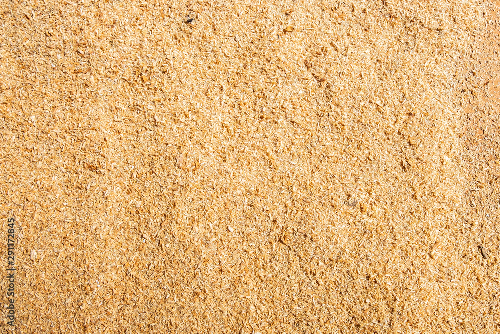 Fresh Sawdust Fresh Sawdust