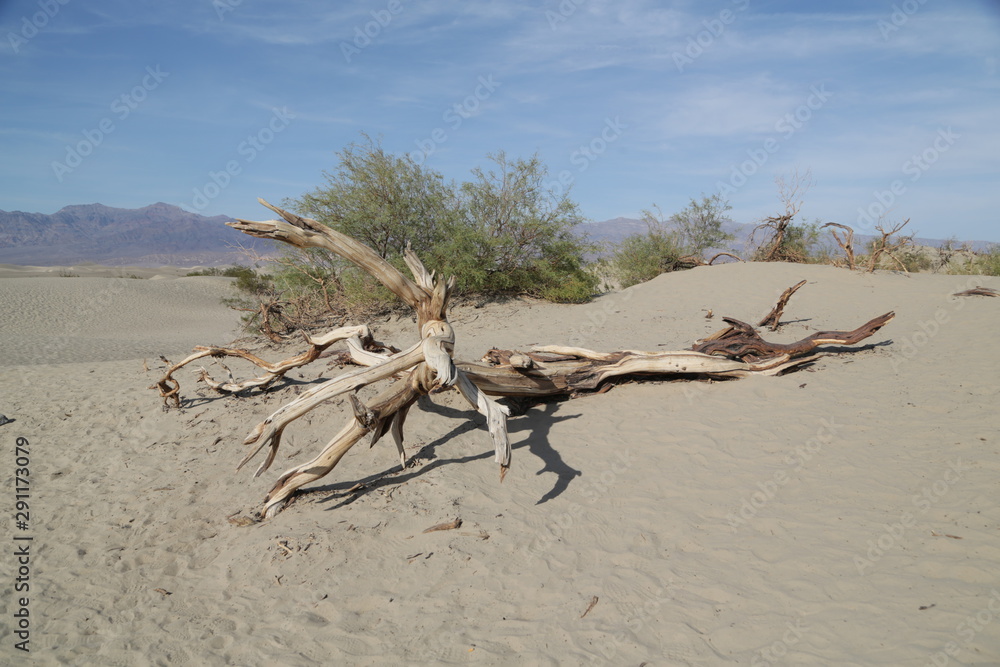   death valley  park the beauty of nature