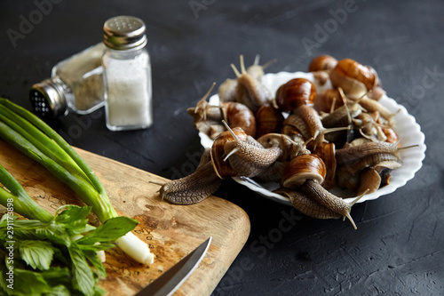 Billede på lærred Cooking garden snails