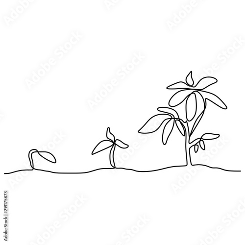 Phase of growing plant cont...