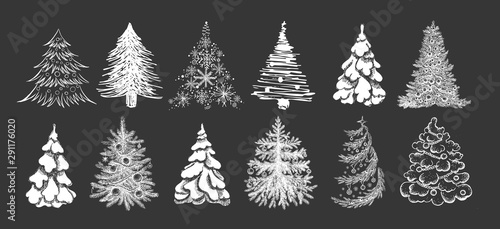 Christmas tree hand drawn illustration