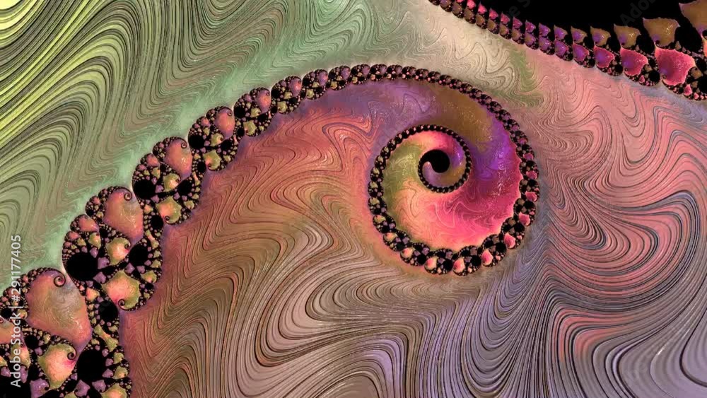 Mandelbrot set exhibit an elaborate and infinitely complicated boundary ...