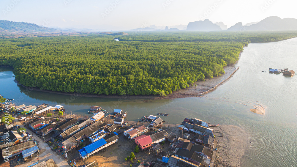 Naklejka premium pine forest in wetland have a small fishing village inside