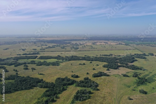fields and forests in summer, sunny sky Novosibirsk region, Russia