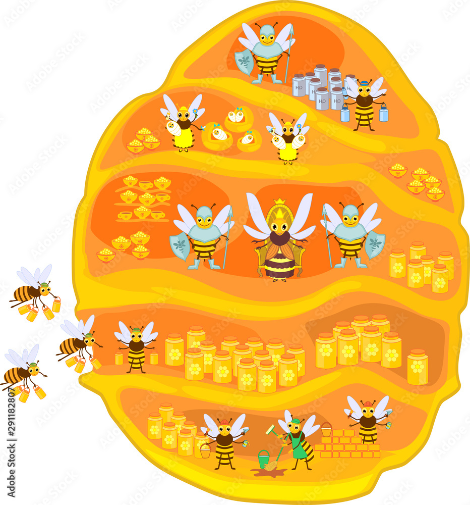 Naklejka premium Yellow cartoon beehive and honey bee family isolated on white background. Internal structure of beehive