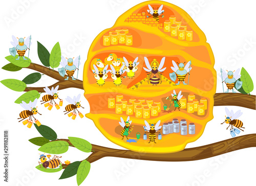 Yellow cartoon beehive on tree branch and honey bee family isolated on white background. Internal structure of beehive