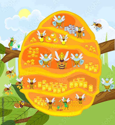 Yellow cartoon beehive on tree branch and honey bee family. Internal structure of beehive