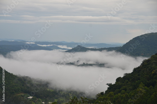 A valley with fog in Rio Grande do Sul - Brazil