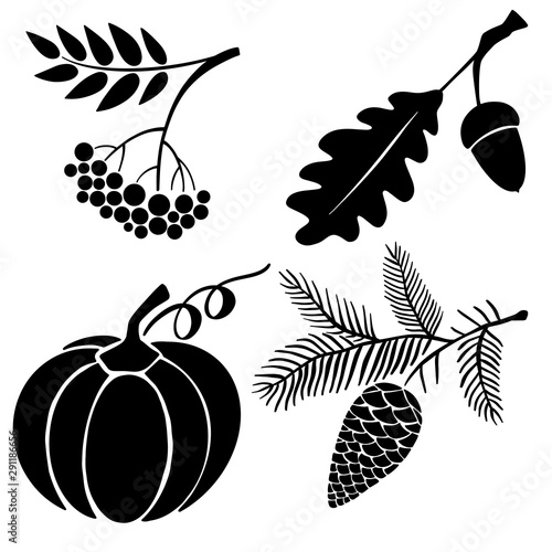 Set of fall graphic cliparts: pumpkin, acorn, pine cone, rowan. Black vector silhouettes.