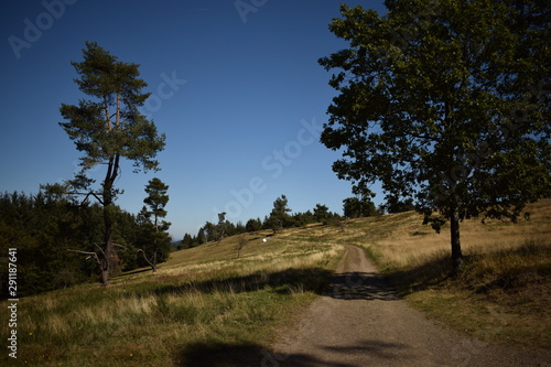 Berheide Eifel photo