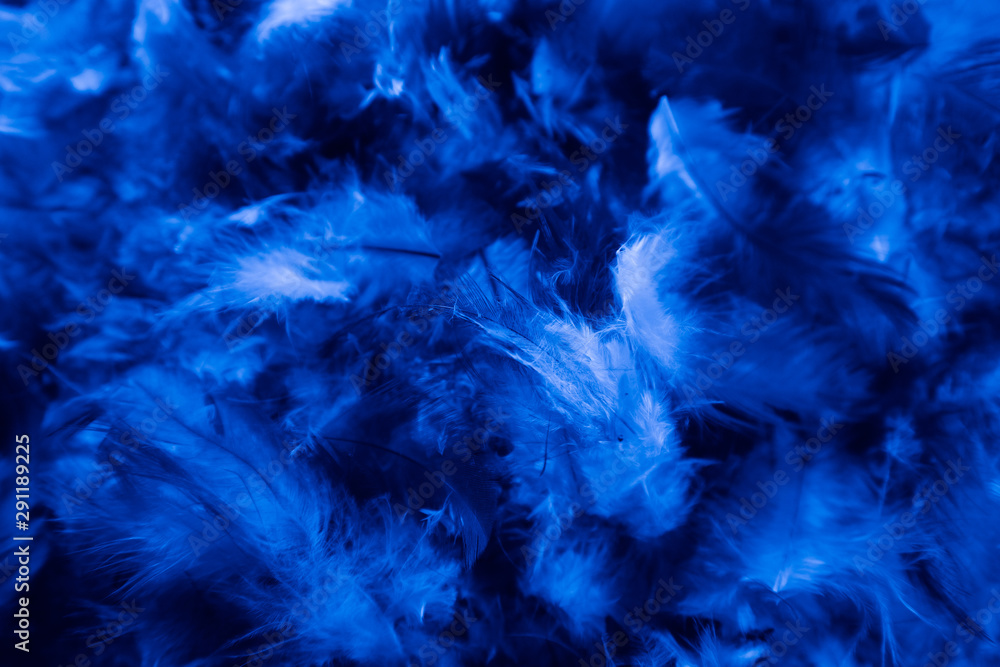 Feather Wallpaper Stock Photos Images and Backgrounds for Free Download