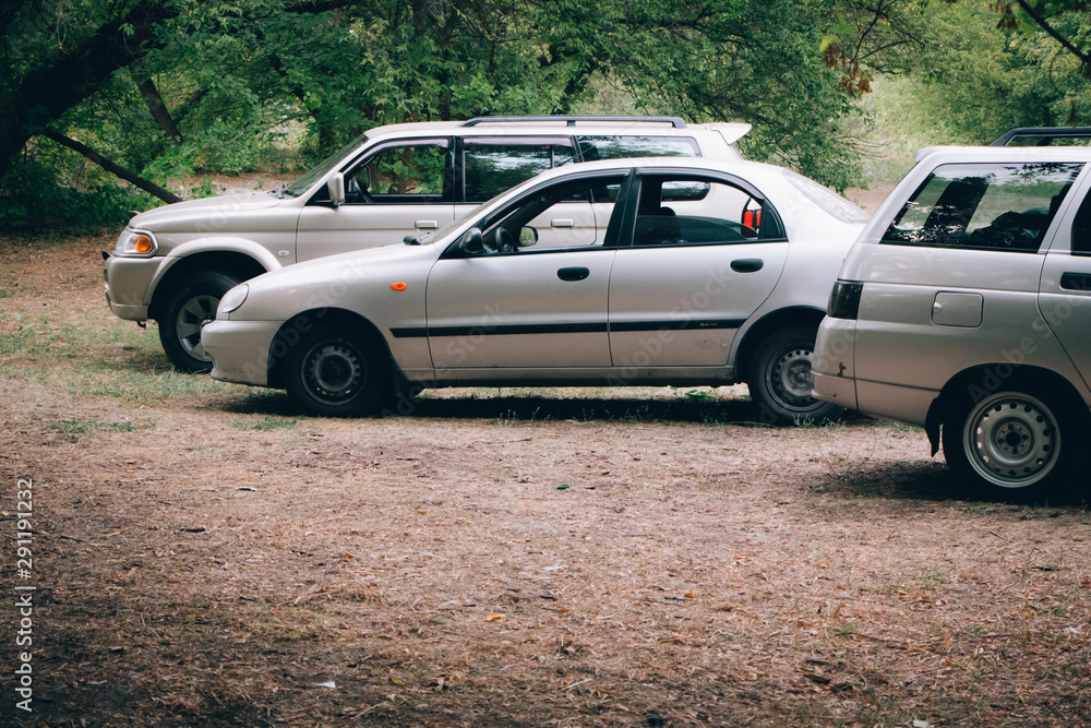 Naklejka premium Three cars parked in a clearing in the forest, camping in the forest