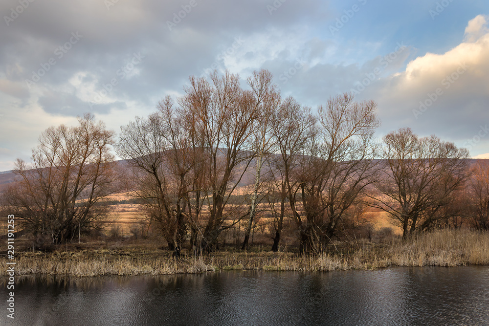 Contrasty view of dark water lake surrounded by reed and sunlit trees burnt by fire Contrasty view of dark water lake surrounded by reed and sunlit trees burnt by fire