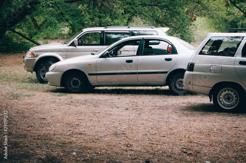 Three cars parked in a clearing in the forest, camping in the forest
